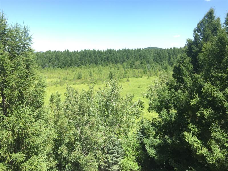 塞罕壩明珠七星湖 詩(shī)情畫(huà)意似仙境(圖9)