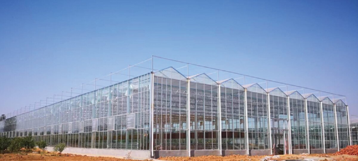 信橋鋼構(gòu)：打卡蒙陰農(nóng)業(yè)溫室大棚、青州黑牛養(yǎng)殖基地！(圖2)